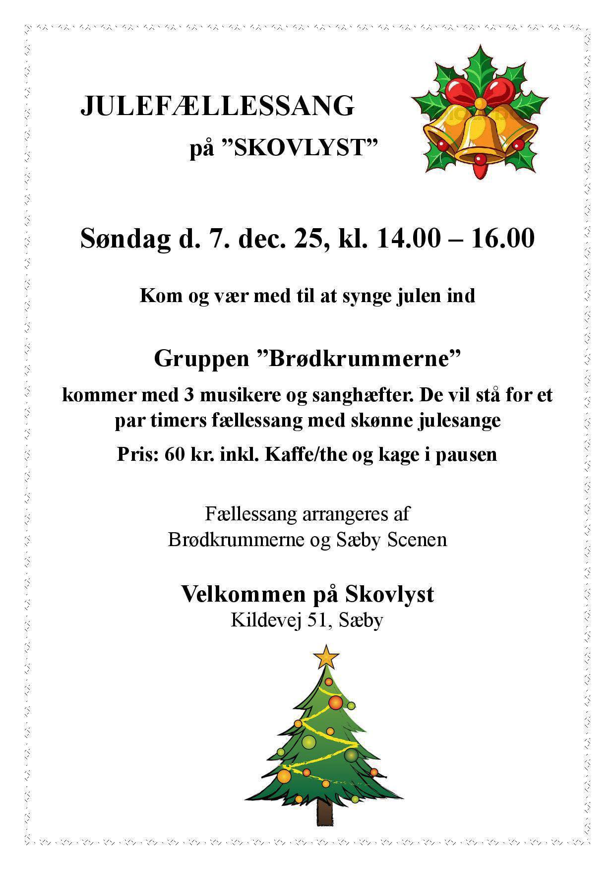 2025 12 07 broedkrummerne julesange skovlyst